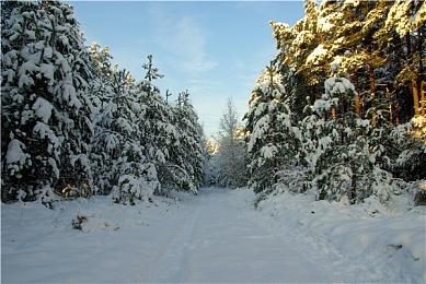 PS5 Pro主机介绍：GPU升级 更强大的光追！